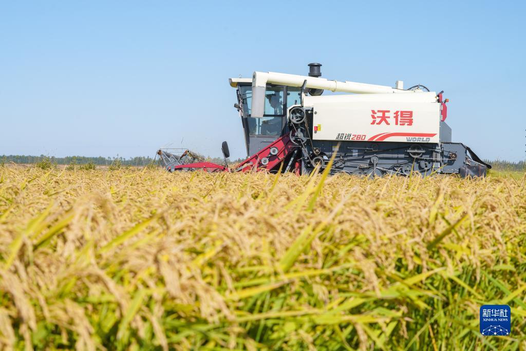 老虎机游戏